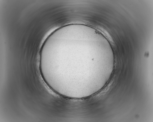 X0000096170804200802081410