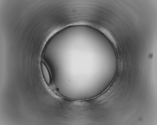 X0000096170805200802081410