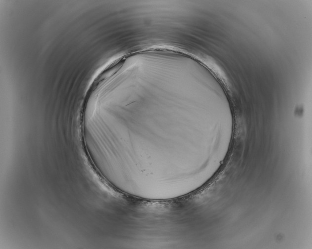 X0000096170806200802081410