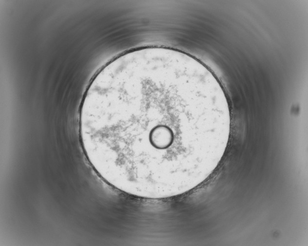 X0000096170807200802081410