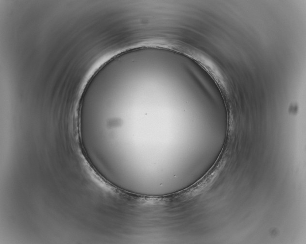 X0000096170808200802081410