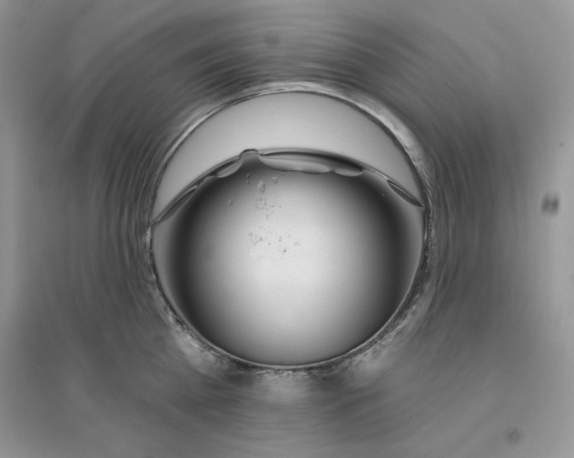 X0000096170809200802081410