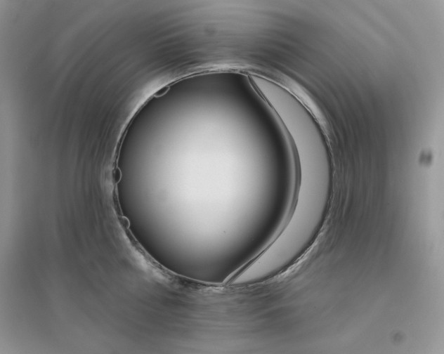 X0000096170810200802081410