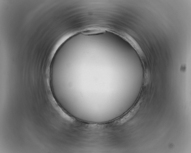 X0000096170812200802081410