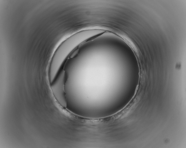 X0000096170813200802081410