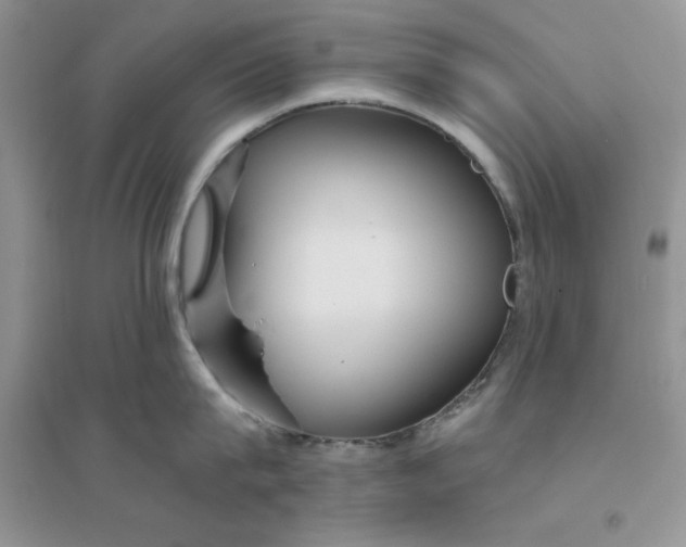 X0000096170815200802081410