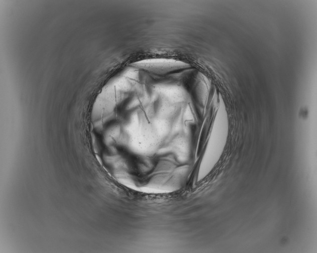 X0000096170817200802081409