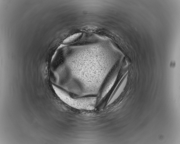 X0000096170818200802081409