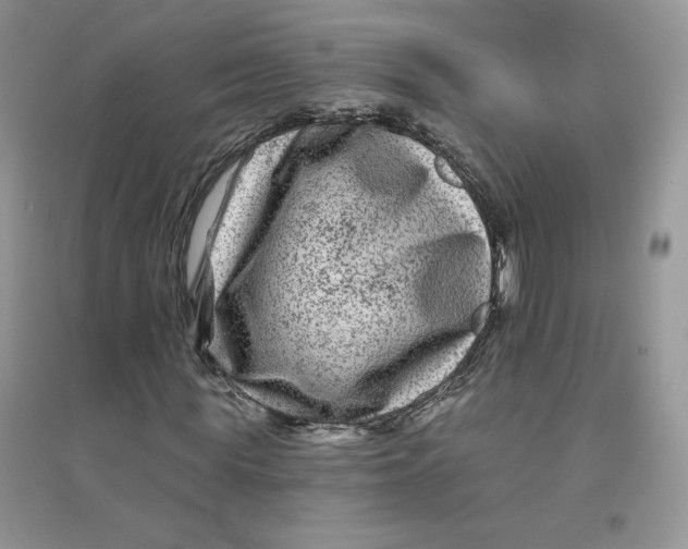 X0000096170819200802081409