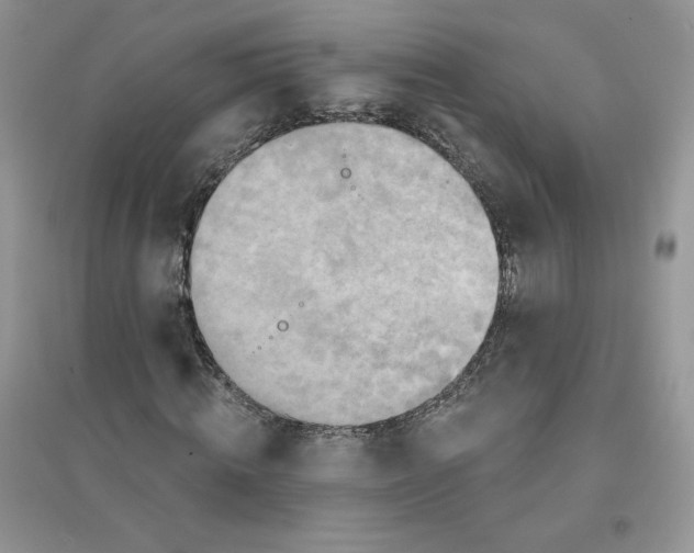 X0000096170820200802081409