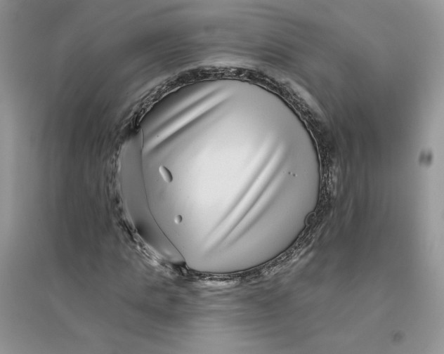 X0000096170821200802081409