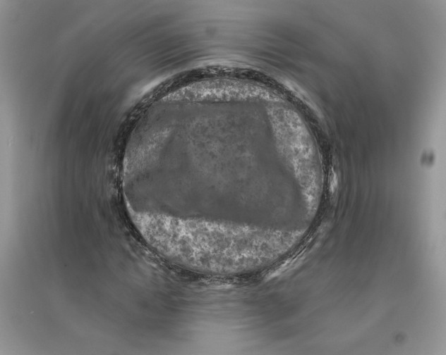 X0000096170822200802081409