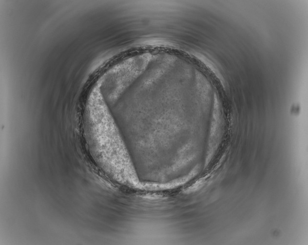 X0000096170823200802081409