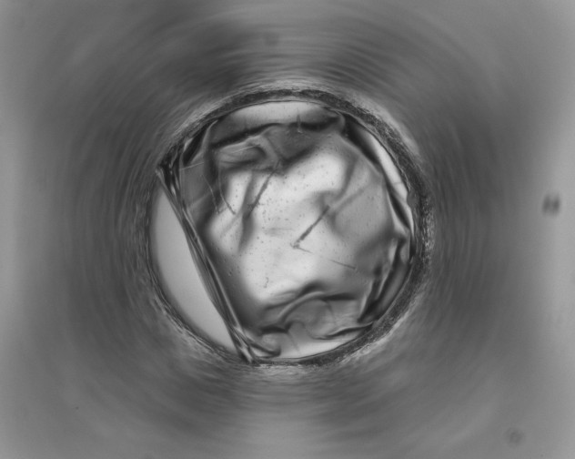 X0000096170825200802081409