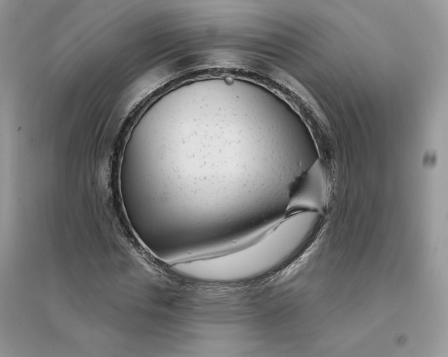 X0000096170826200802081409