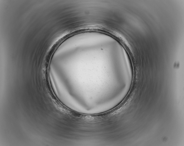 X0000096170827200802081409