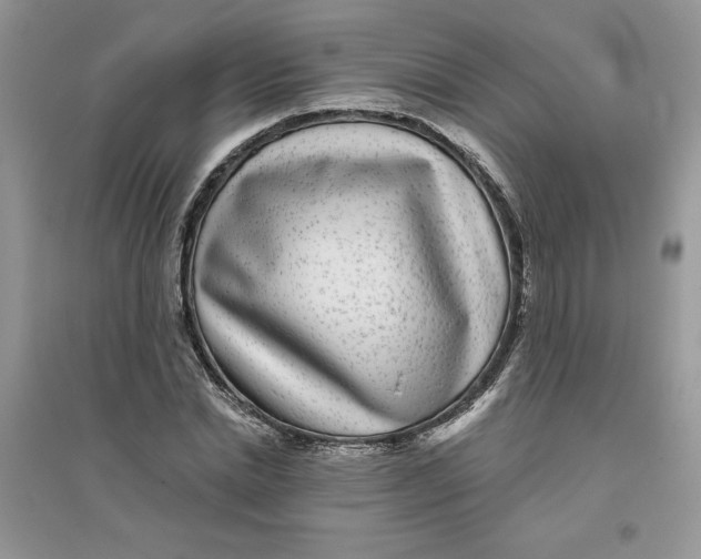 X0000096170830200802081409