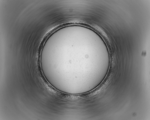 X0000096170831200802081409