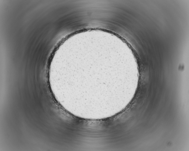 X0000096170832200802081409