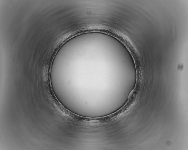 X0000096170833200802081409