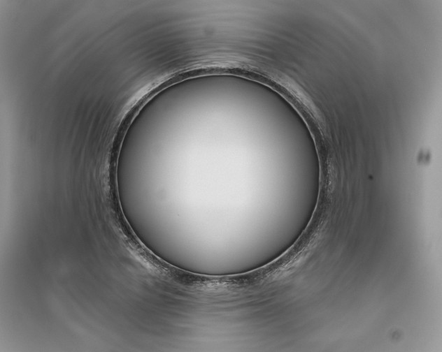 X0000096170834200802081409