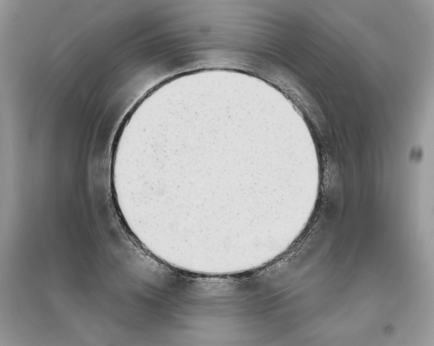 X0000096170836200802081409