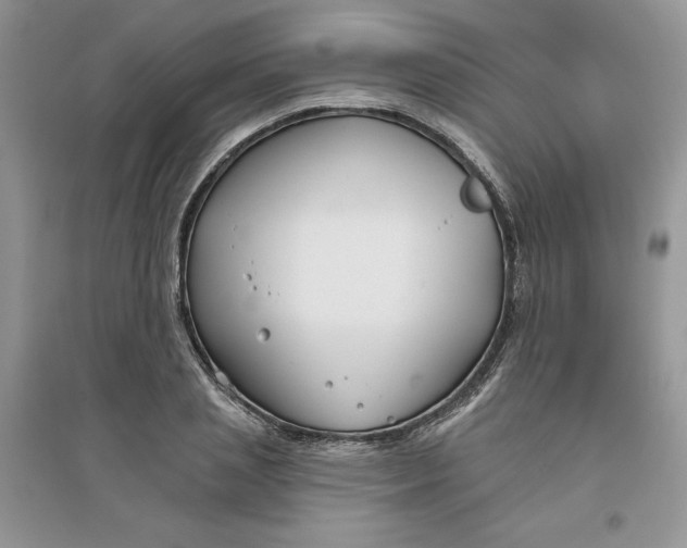 X0000096170837200802081409