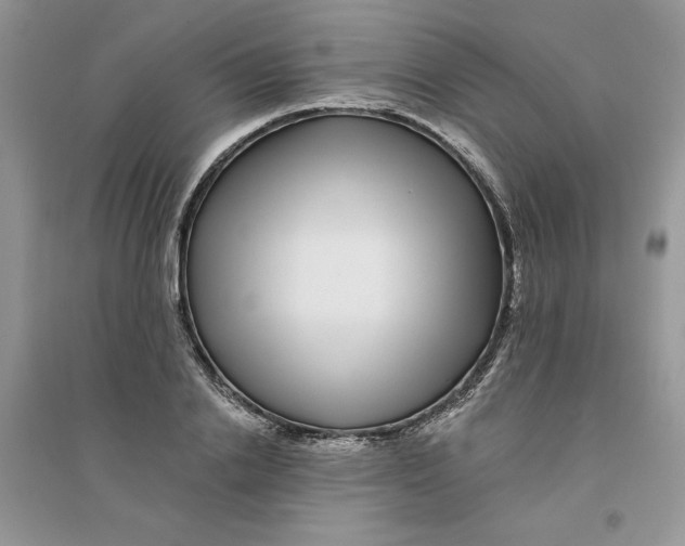 X0000096170838200802081409