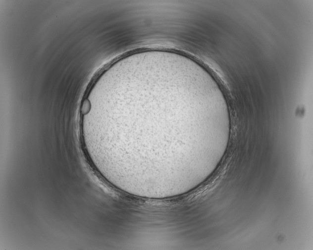 X0000096170840200802081409