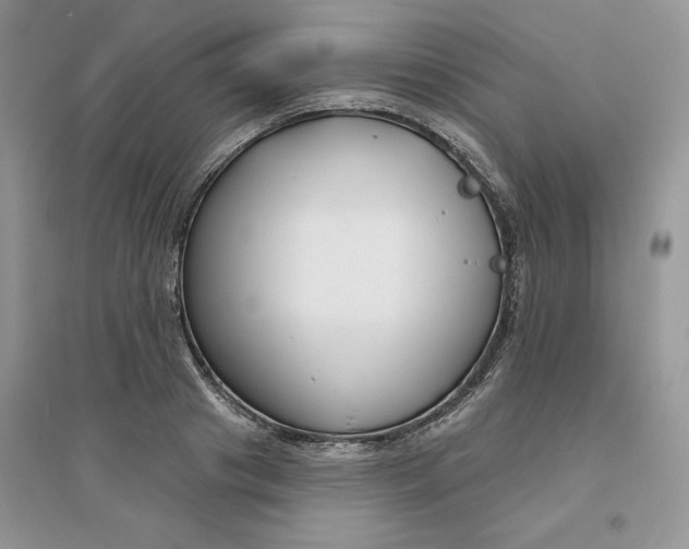 X0000096170841200802081409