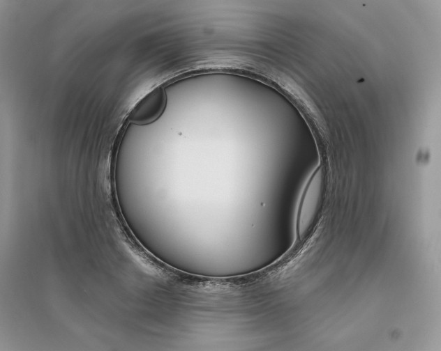 X0000096170842200802081409