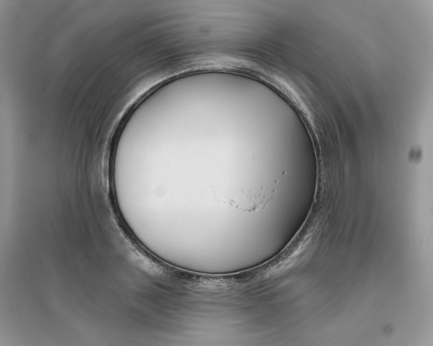 X0000096170843200802081409