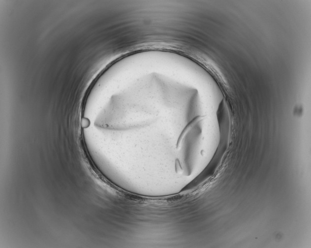 X0000096170844200802081409