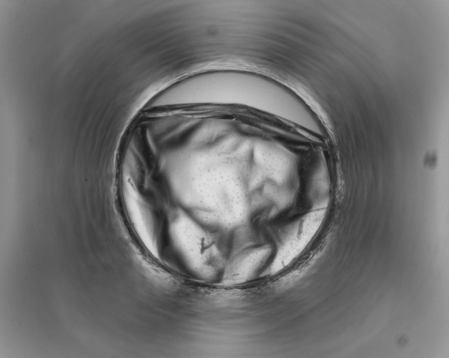 X0000096170845200802081409