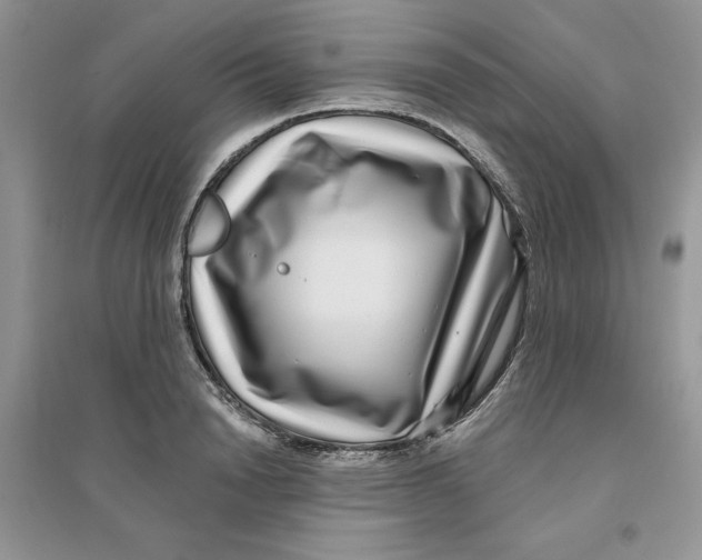 X0000096170846200802081409