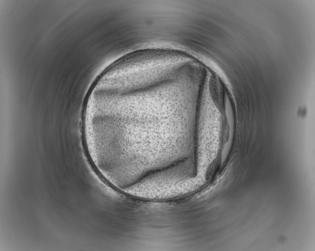 X0000096170847200802081409