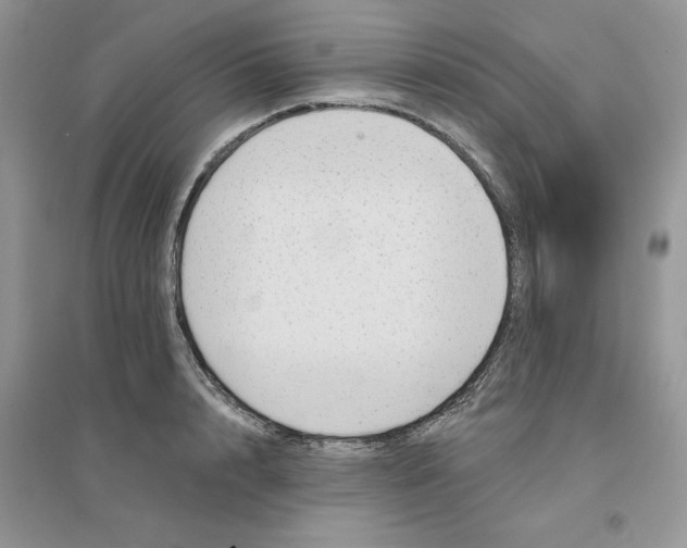 X0000096170848200802081409