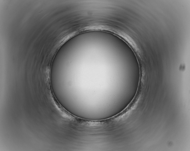 X0000096170849200802081409