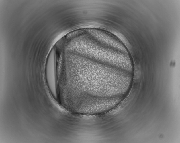 X0000096170850200802081410