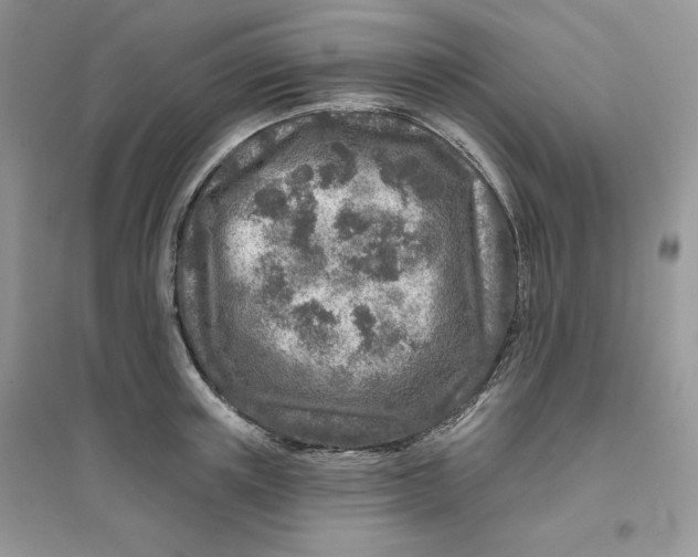 X0000096170851200802081410