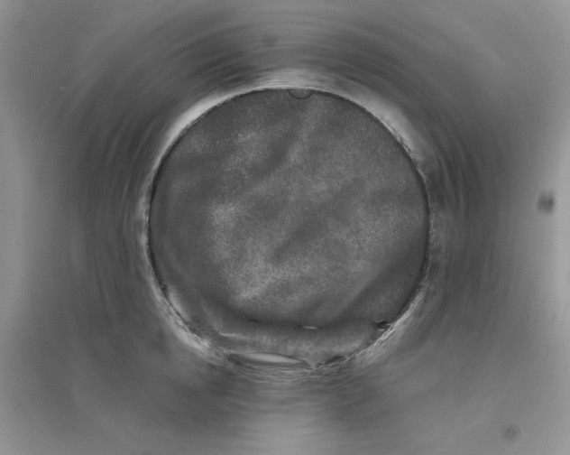 X0000096170854200802081410