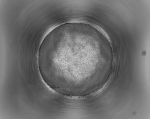 X0000096170855200802081410