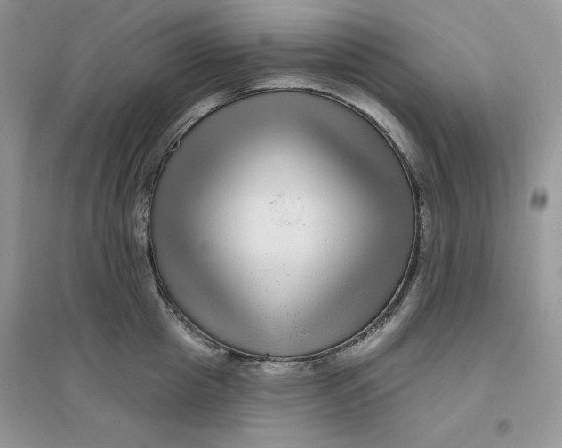 X0000096170857200802081410