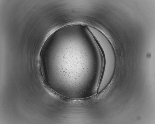 X0000096170858200802081410