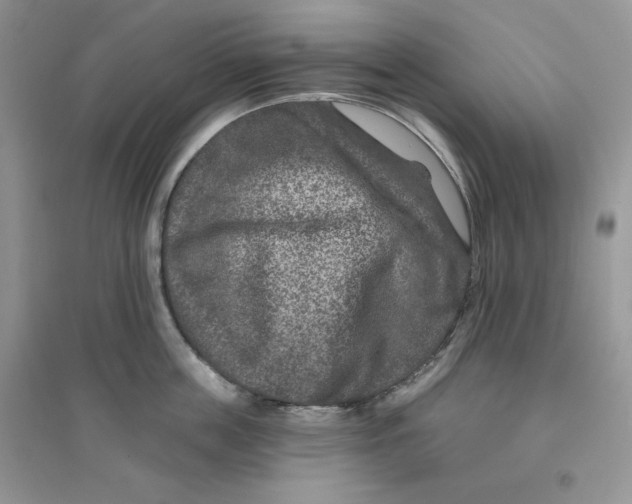 X0000096170859200802081410