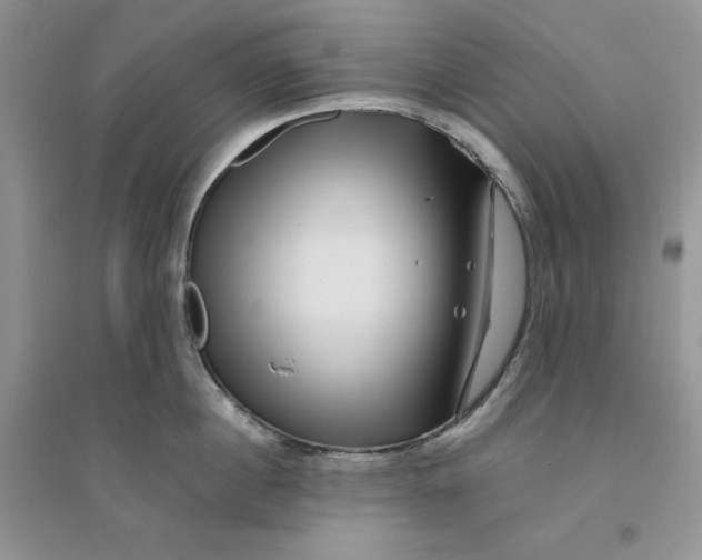 X0000096170860200802081410