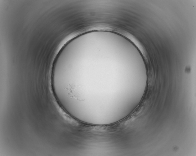 X0000096170861200802081410