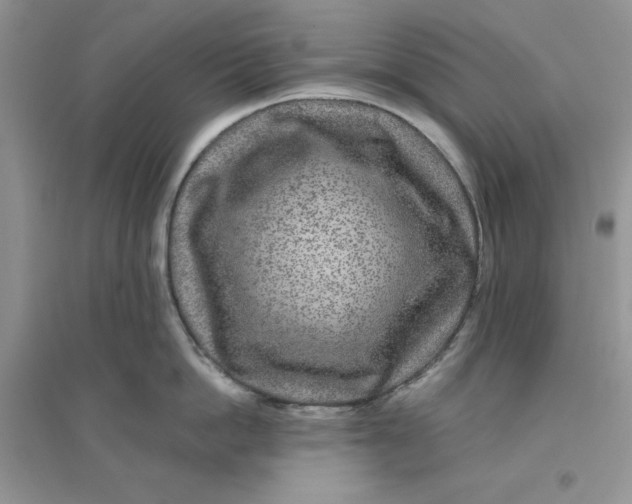 X0000096170862200802081410