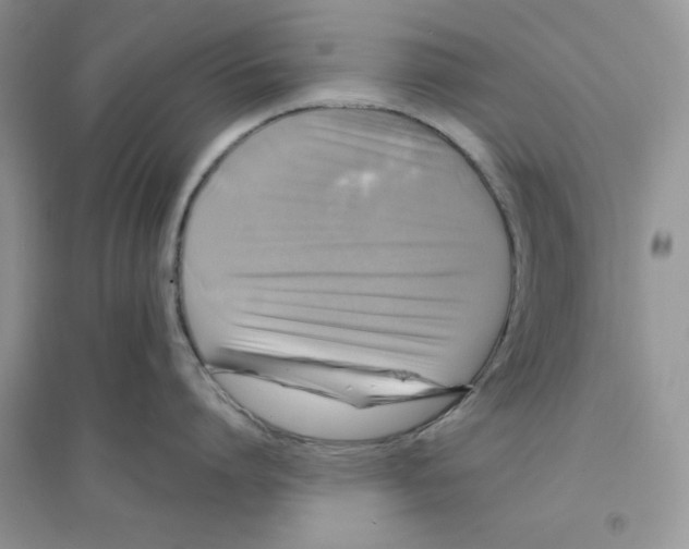 X0000096170864200802081410