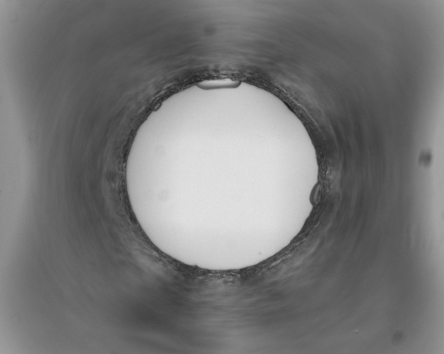 X0000096170865200802081409